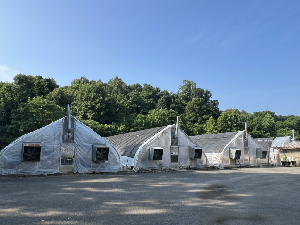 Riverside Greenhouses