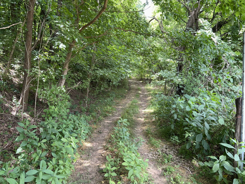 Riverside Nursery Woods