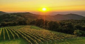 Winery with Mountains