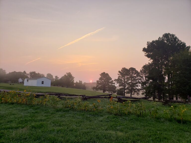 Gorgeous Farm with Two Bed & Breakfast Farmhouses (Shenandoah Valley, VA)