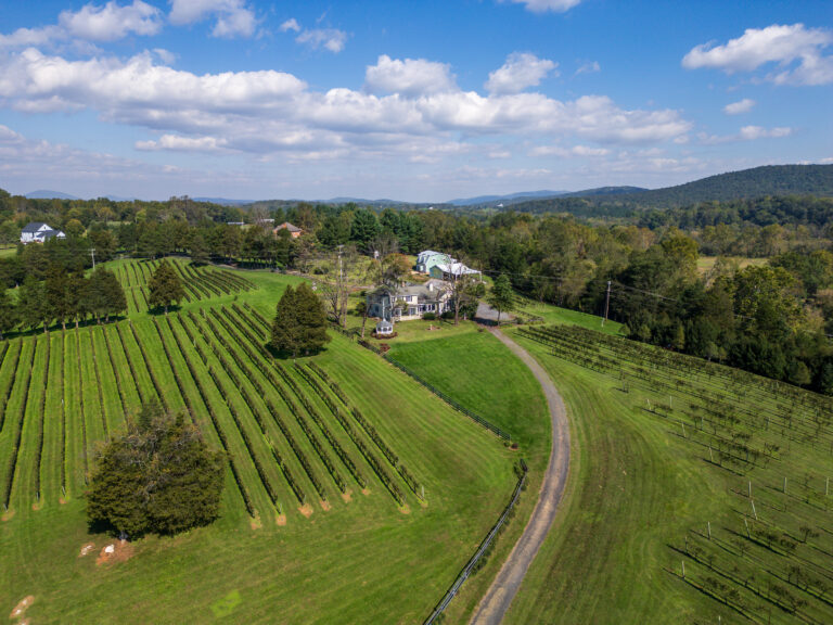 Beautiful Original 1912 Vineyard Farmhouse (Marshall, VA)