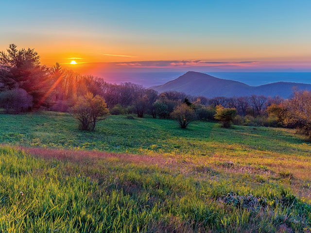 Northern Virginia Premier Events Venue with Farm Winery (Northern Virginia)